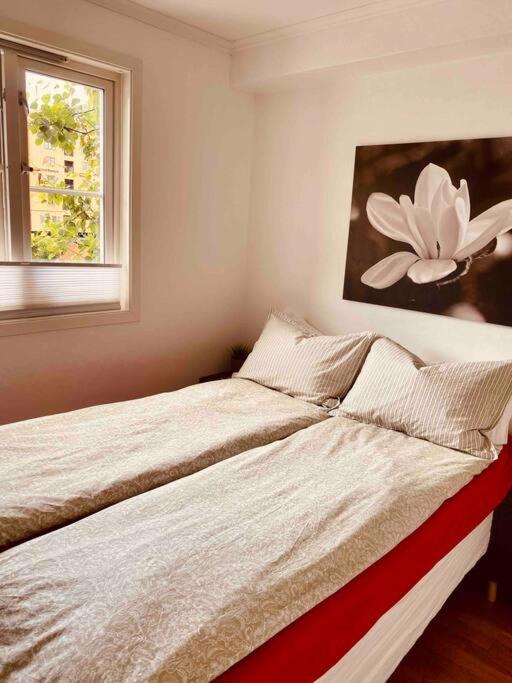 Apartmán Bakklandets Perle 3-Roms Trondheim Exteriér fotografie