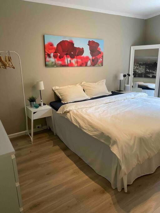 Apartmán Bakklandets Perle 3-Roms Trondheim Exteriér fotografie